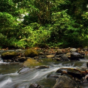 crocker-range-biosphere-reserve-002