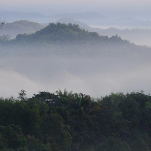 crocker-range-biosphere-reserve-cover