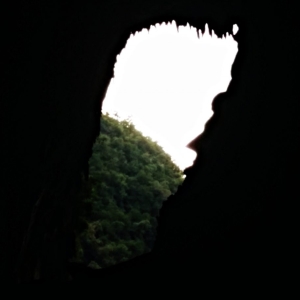 gunung-mulu-national-park-001