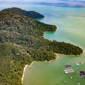 penang-hill-biosphere-reserve-012