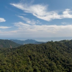 penang-hill-biosphere-reserve-015