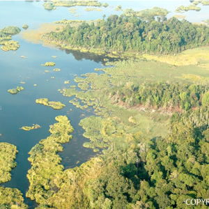 tasik-chini-biosphere-reserve-001