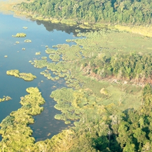 tasik-chini-biosphere-reserve-cover