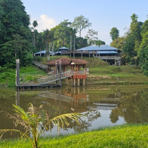 the-archaeological-heritage-of-niah-001